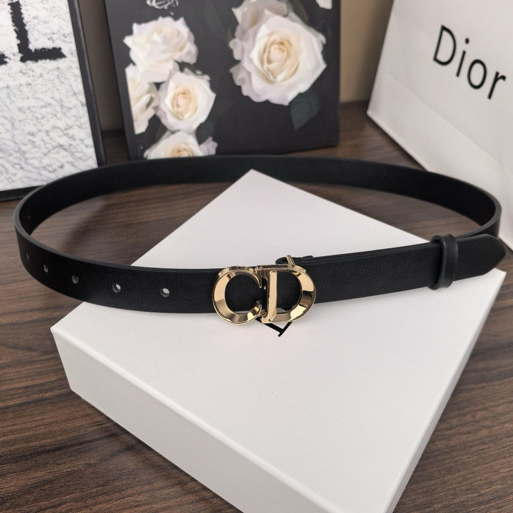 חגורות דיור – תמונה 10