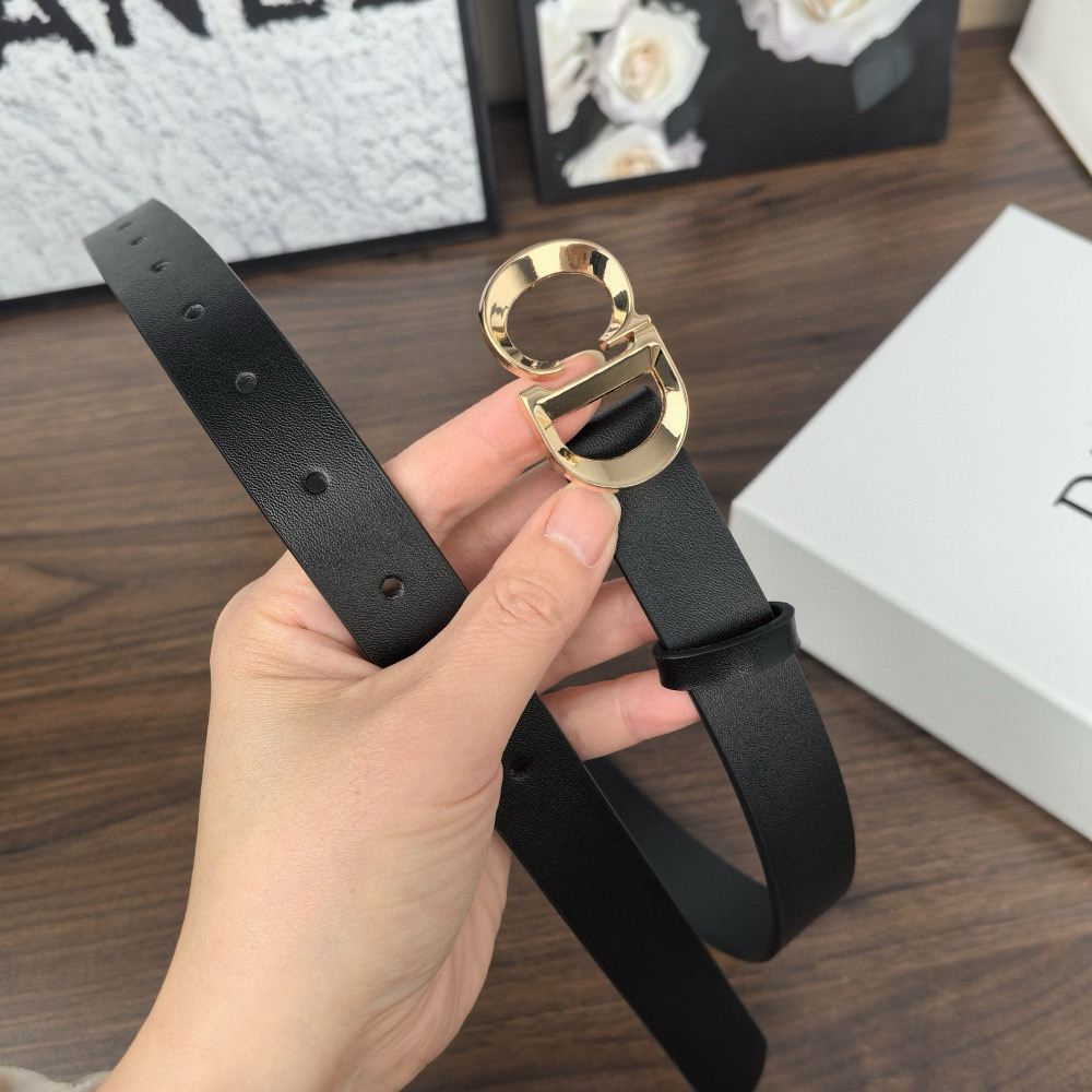 חגורות דיור – תמונה 4