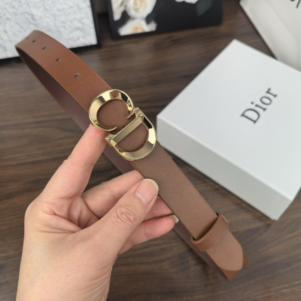 חגורות דיור – תמונה 6