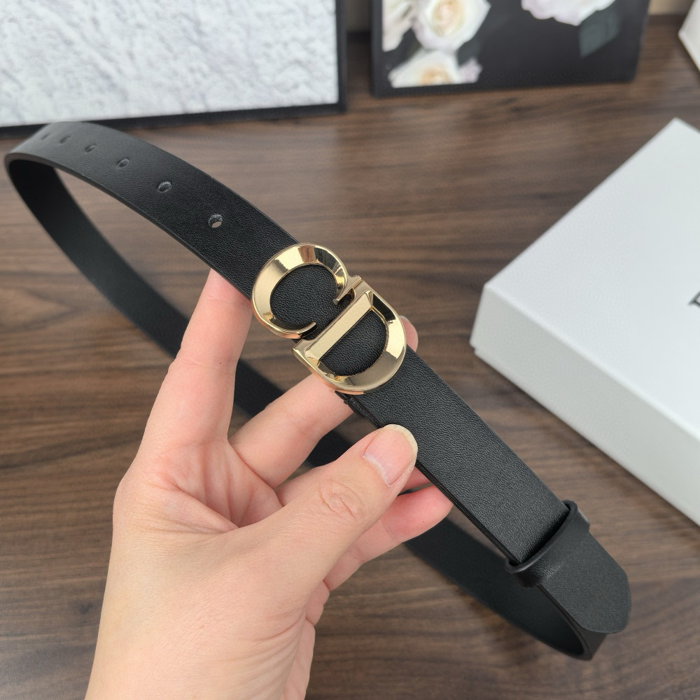 חגורות דיור – תמונה 5