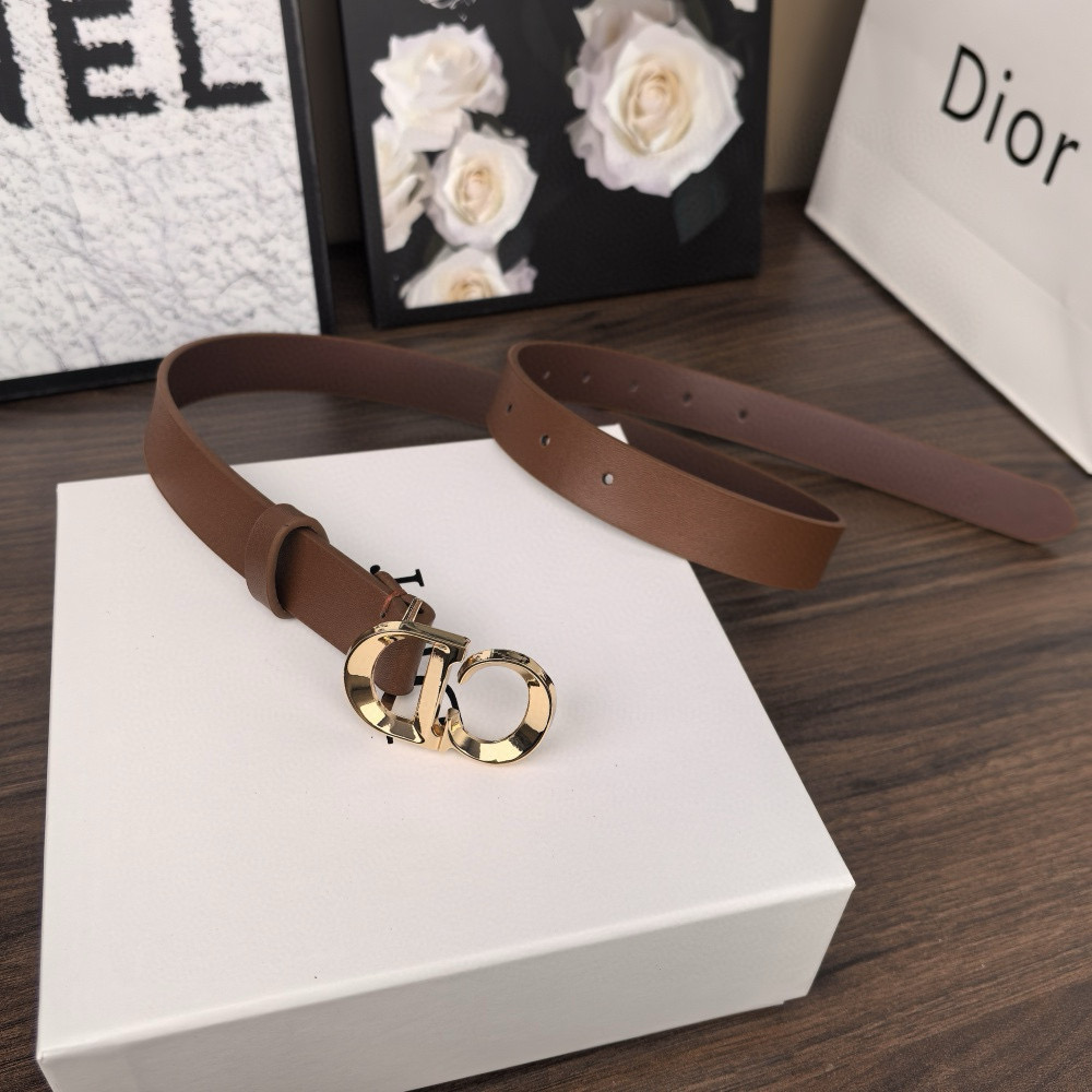 חגורות דיור – תמונה 7