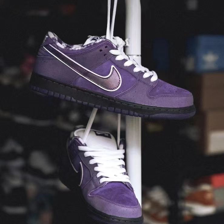 נעלי נייק דאנק SB – תמונה 26