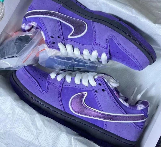 נעלי נייק דאנק SB – תמונה 25