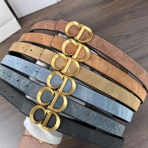 חגורה  דיור