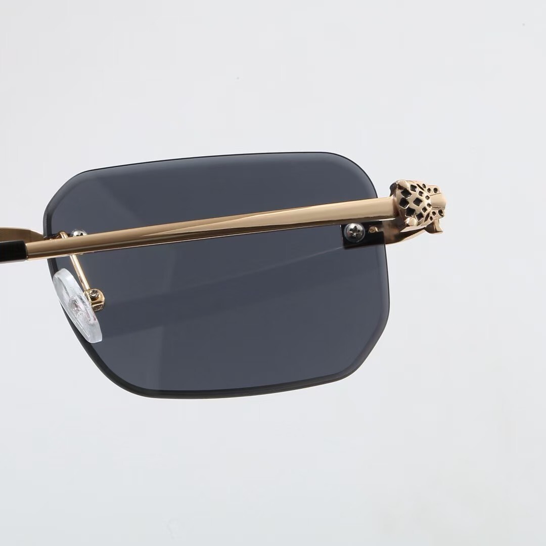 משקפי שמש קרטייה – תמונה 9