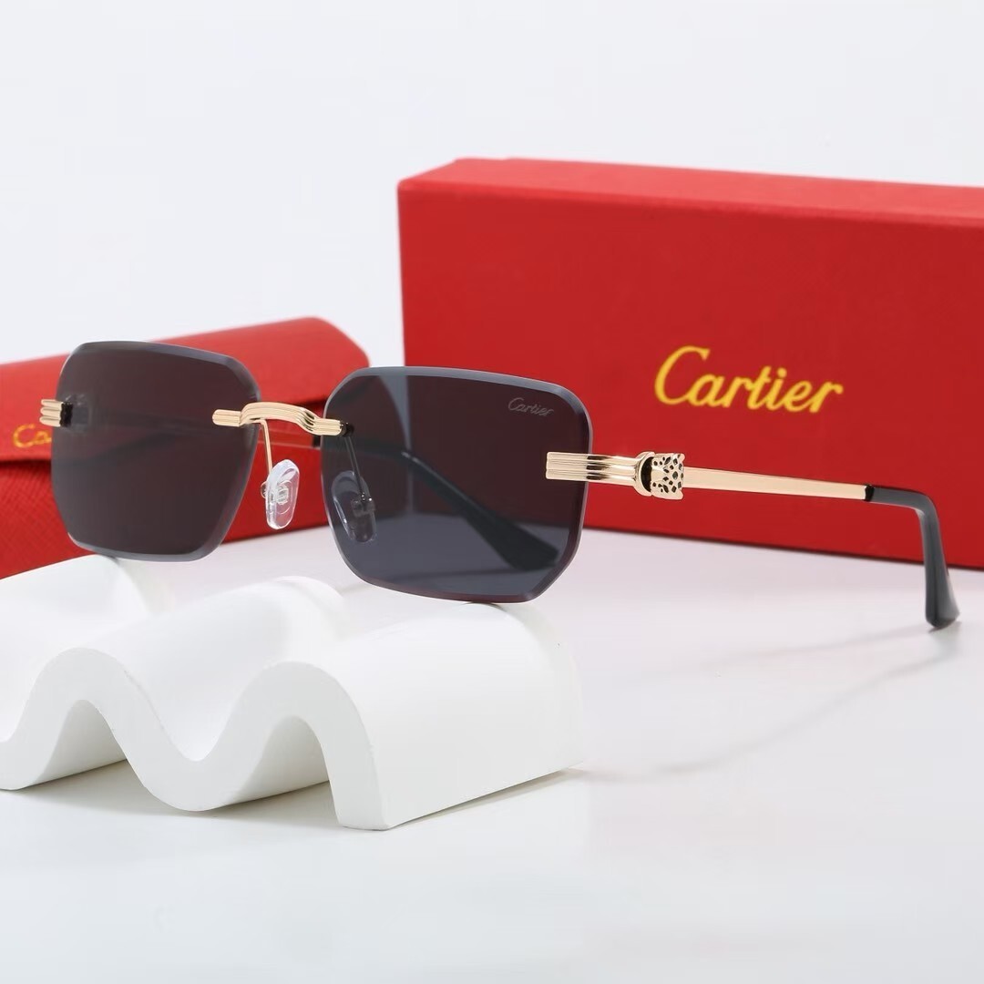 משקפי שמש קרטייה – תמונה 6