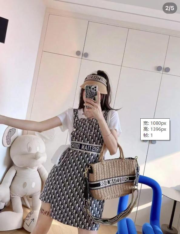 תיק קש דיור – תמונה 5