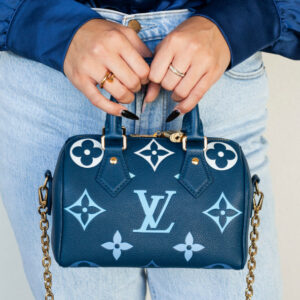 תיק יד לואי ויטון