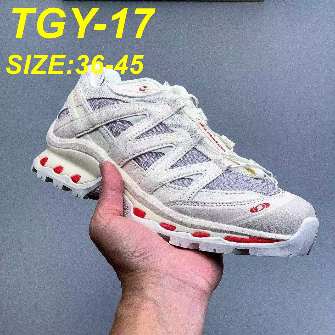 אסיקס – תמונה 3