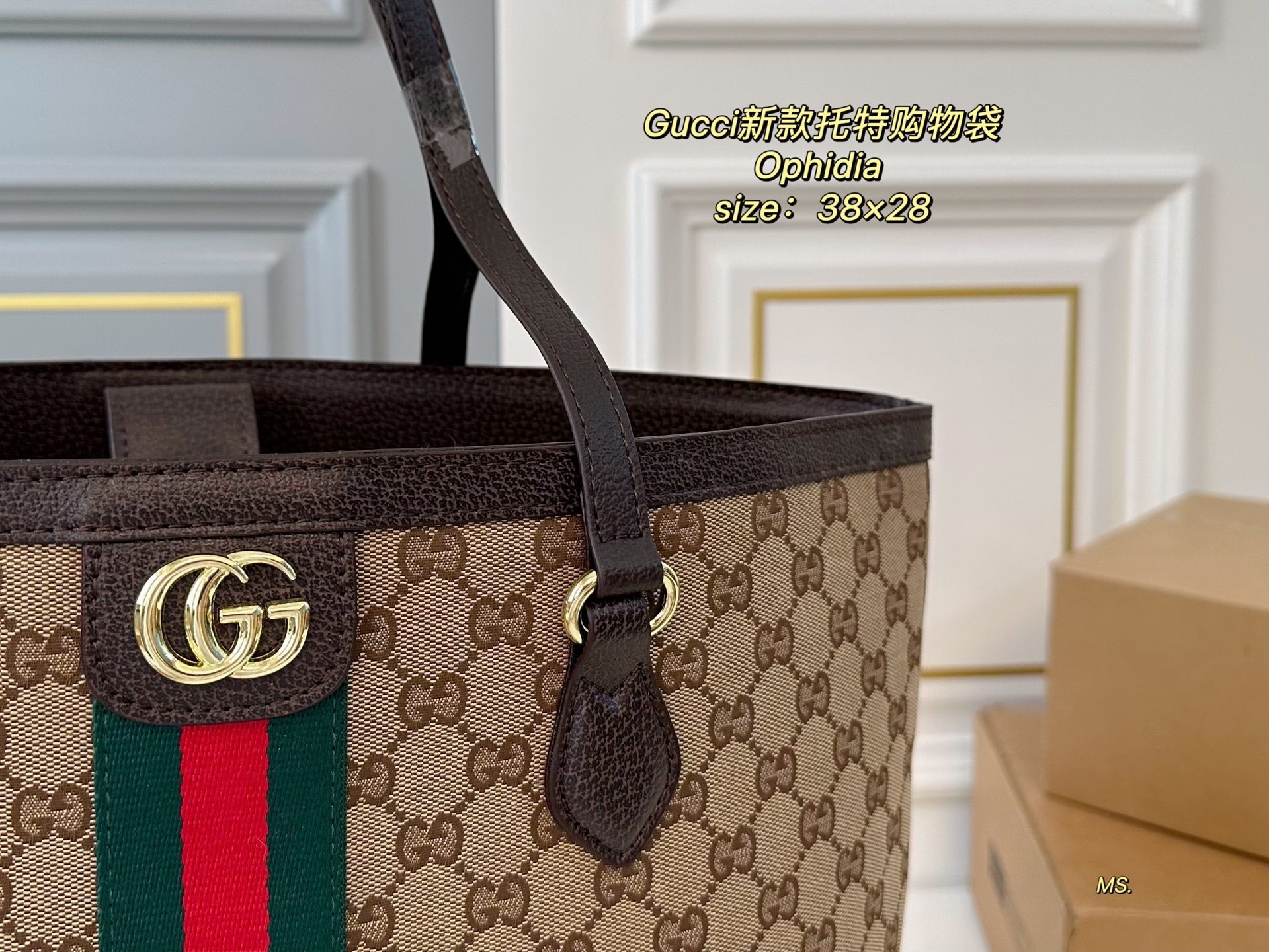 תיק קניות גוצי – תמונה 3