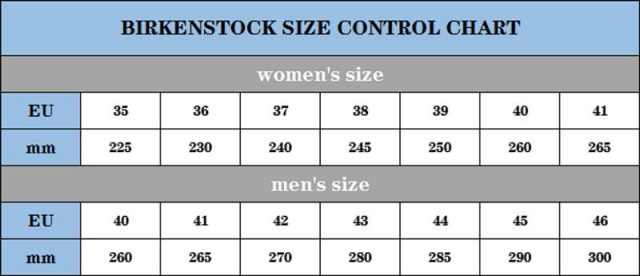 כפכפים בירקנשטוק – תמונה 18